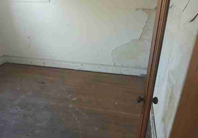 4308 Tyler 2-14-19 13.jpg